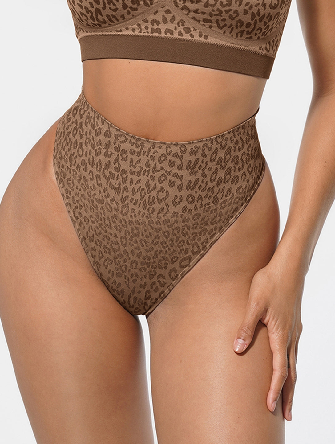 Leopard Tummy Control High Waisted Briefs